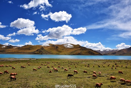 20160926092732233223