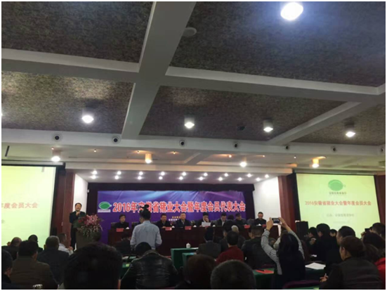 20161216101435993599