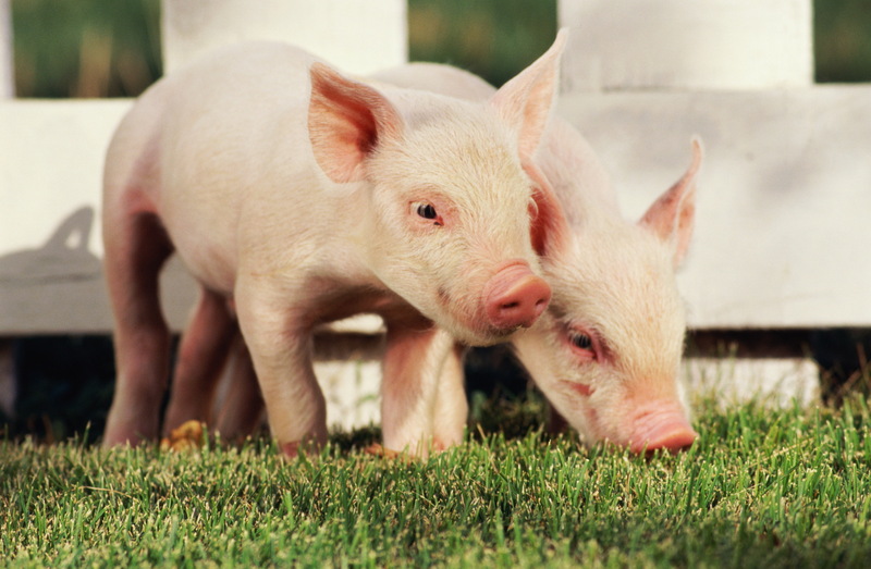 20181012155939203920